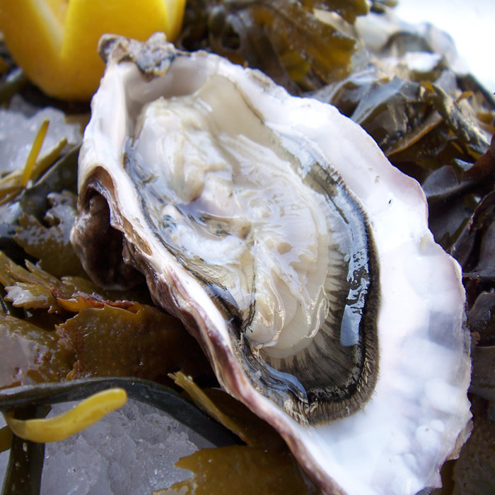 Canned Smoked Oyster 